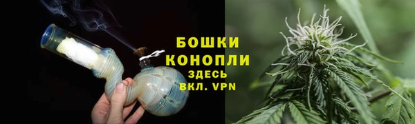 крисы Зерноград