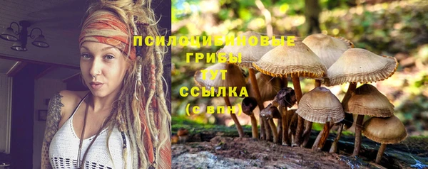 эйфоретик Заволжье