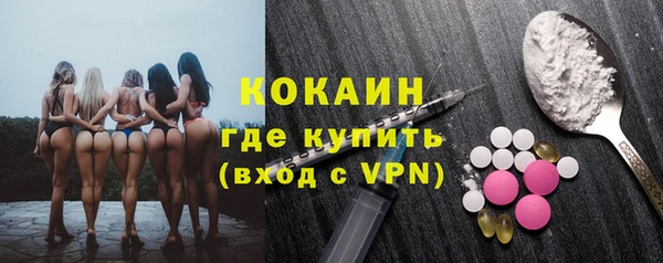 прущие грибы Усолье-Сибирское