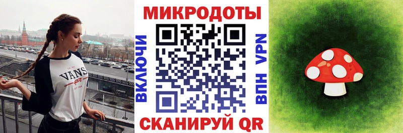 Псилоцибиновые грибы Psilocybe  Купить где  Никольск 