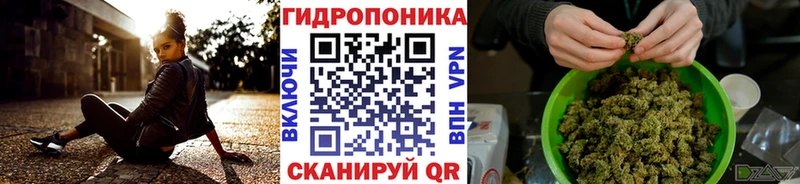 Купить закладки  Никольск  Канабис Ganja 
